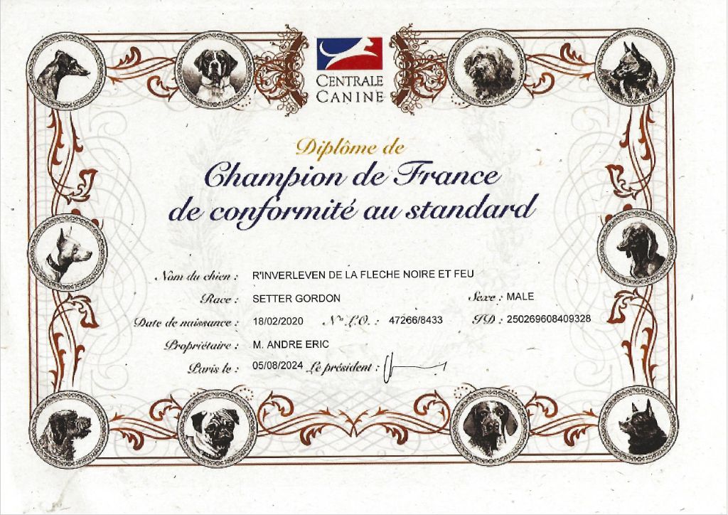 De La Flèche Noire Et Feu - CHAMPION DE FRANCE DE CONFORMITÉ AU STANDARD