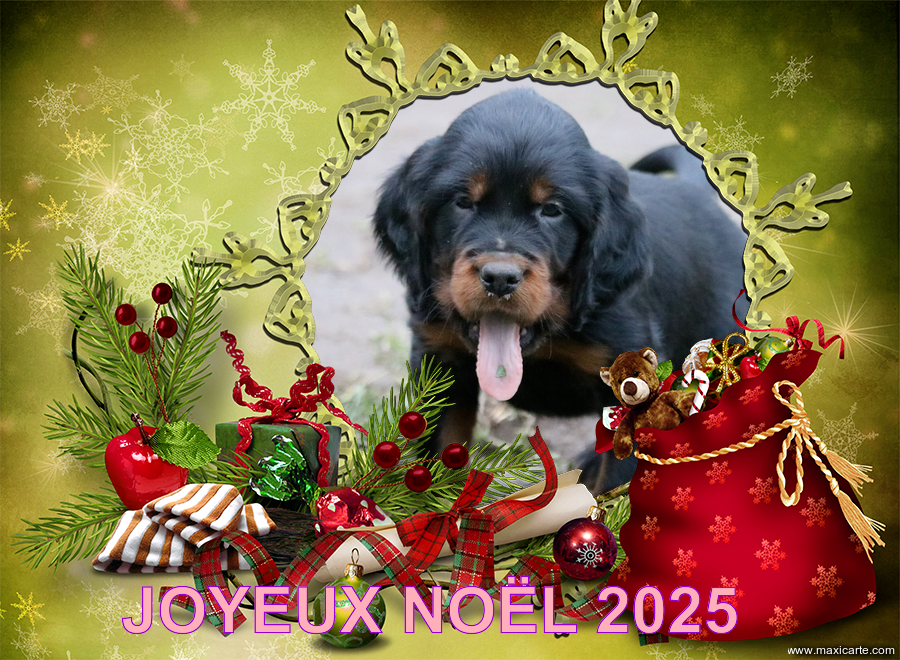 JOYEUX NOËL 2025