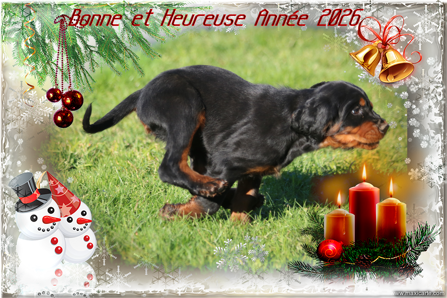 BONNE ET HEUREUSE ANNÉE 2026
