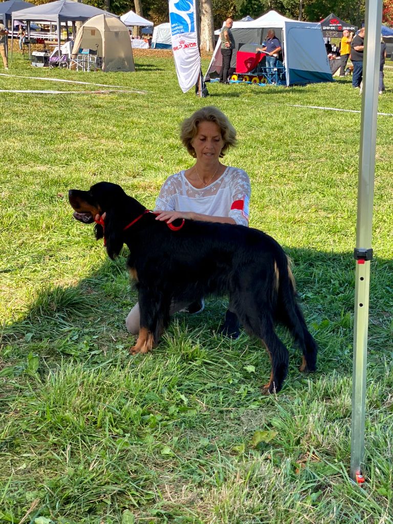 EXPOSITION LANGON 2025