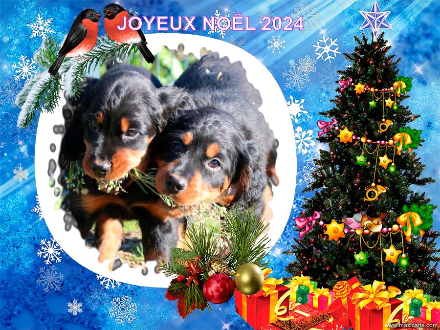 JOYEUX NOËL 2024